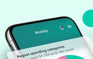 Mint screenshot